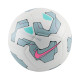Nike Μπάλα ποδοσφαίρου Pitch
